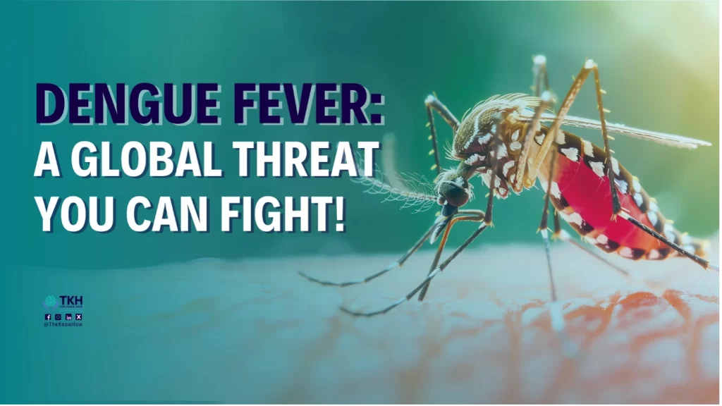 Image illustrating essential dengue fever prevention tips.