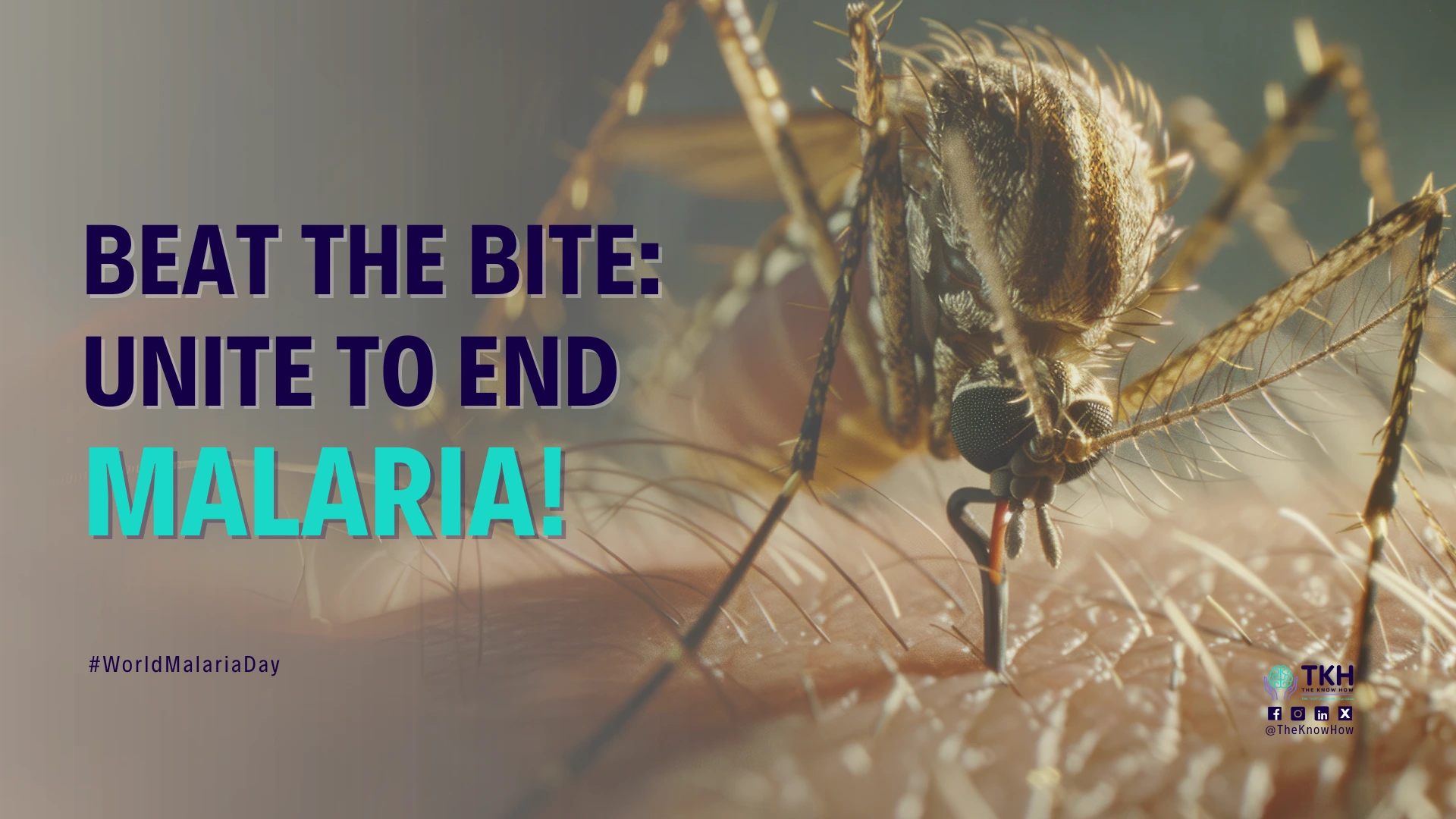 Beat the Bite: Unite to End Malaria!!