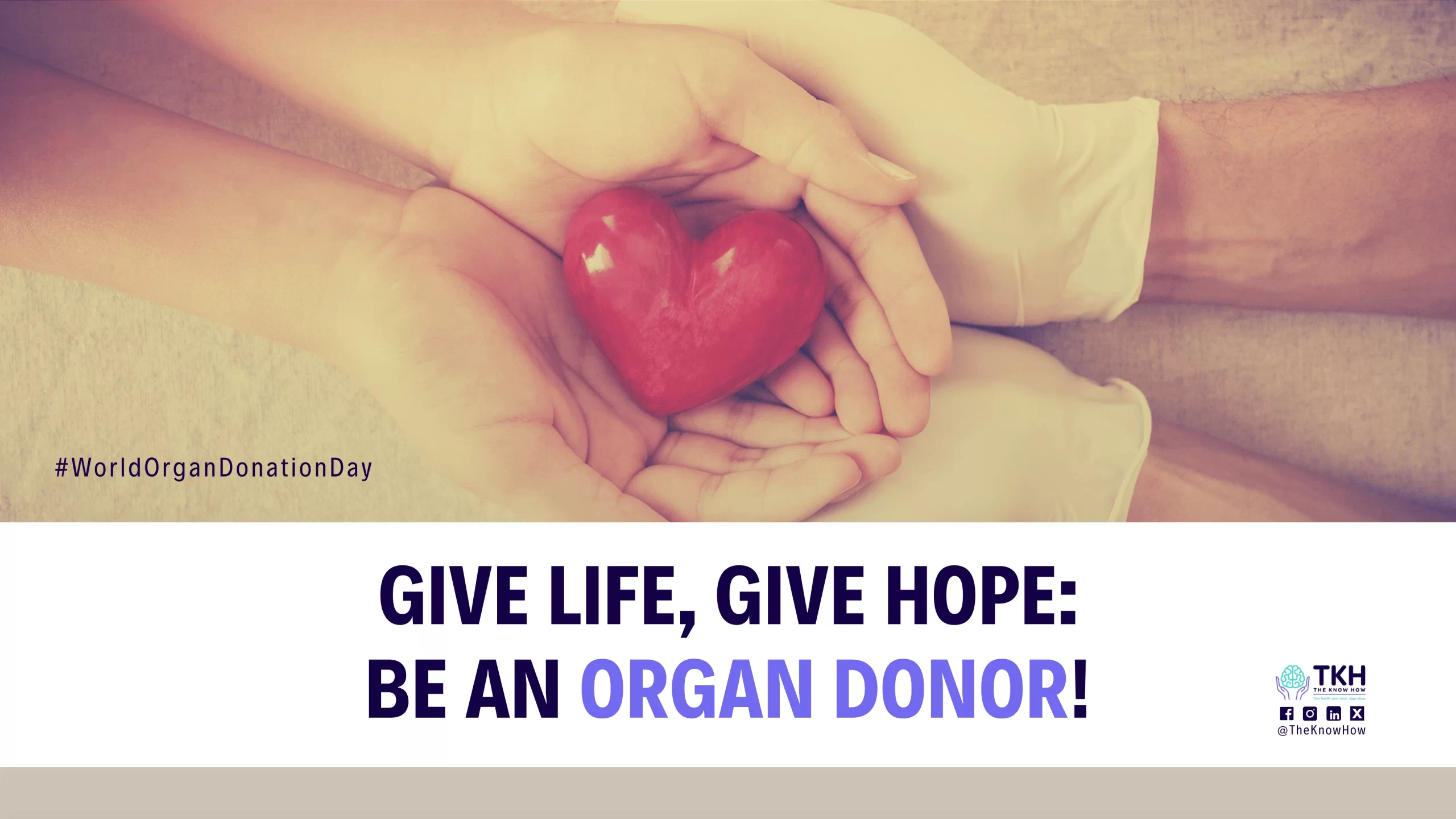 World Organ Donation Day – The Gift of Life