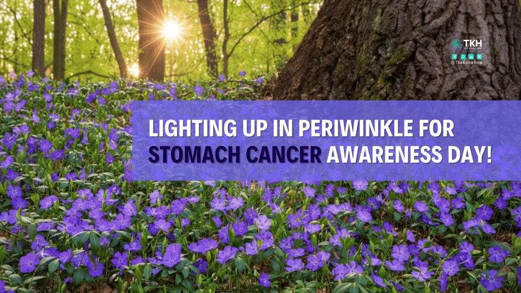 Stomach cancer awareness information and prevention strategies for UAE residents